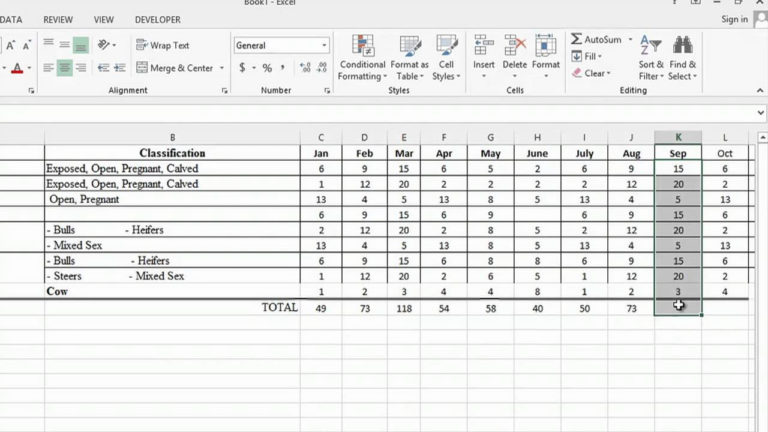 Cattle Inventory Spreadsheet — db-excel.com