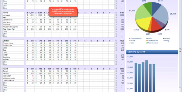 Financial Planning Excel Sheet Expense Spreadshee financial planner ...