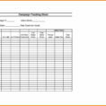 Expense Tracking Sheet | Worksheet & Spreadsheet 2018 Throughout Daily Expenses Tracker