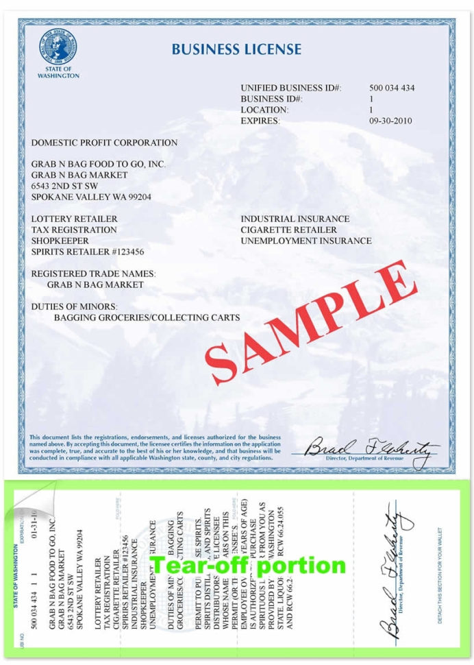Fake Business License Template (2) – Professional Samples Templates