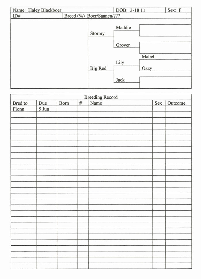 Farm Bookkeeping Spreadsheet Best Of Farm Bookkeeping Spreadsheet Within Farm Bookkeeping Spreadsheet