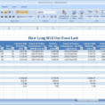 Food Pantry Inventory Spreadsheet Spreadsheet Software Inventory Within Food Pantry Inventory Spreadsheet