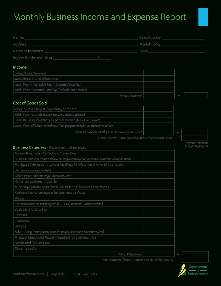 Free Monthly Income And Expense Report | Templates At Within Business Income And Expense Report Template