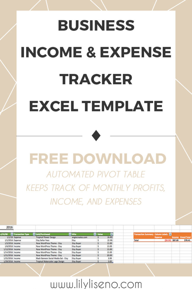 Income And Expense Tracker Excel Template   Free Download   Lily Liseno Throughout Excel Expense Tracker
