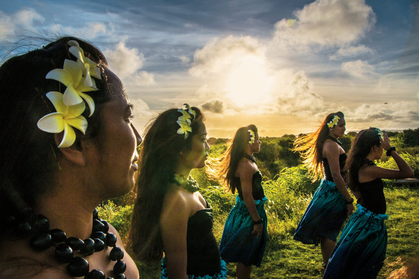 Larry Ellison Bought An Island In Hawaii. Now What?   The New York Times And Hawaii Corporation Search