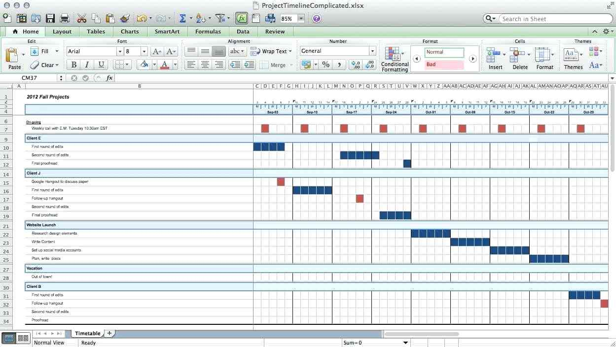 how to ms project staff timeline