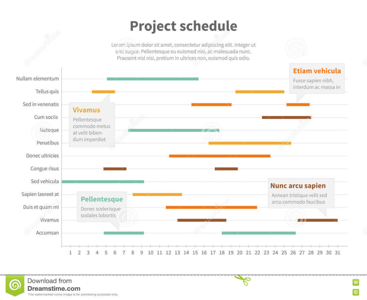 Project Plan Schedule Chart With Timeline, Gantt Progress Vector With Project Timeline Plan