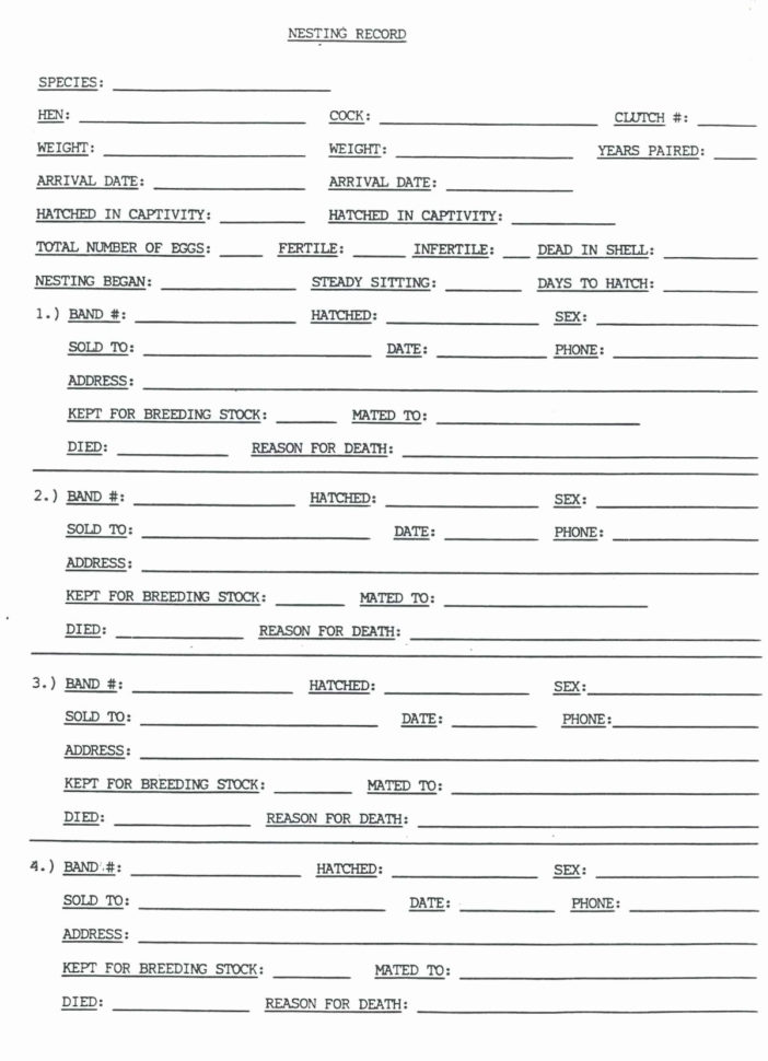 Simple Business Accounting Spreadsheet Fresh Excel Accounting Throughout Simple Accounting Template Excel