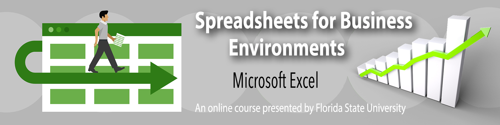Spreadsheets For Business Environments | Florida State University in Spreadsheet Development