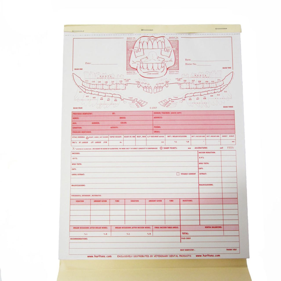 The Edge Equine | Allen Dental Invoice/chart 50Pk | Equine Dentistry With Dental Invoice