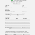 The Truth About Credit | Form And Resume Template Ideas Within Business Credit Reference Form