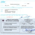 Vehicle Registration Service Open To The General Public, Dealerships With Business Registration License