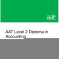 Aat Level 3 Spreadsheets Revision Inside Aat Level 2 Diploma In Accounting And Business  Pdf