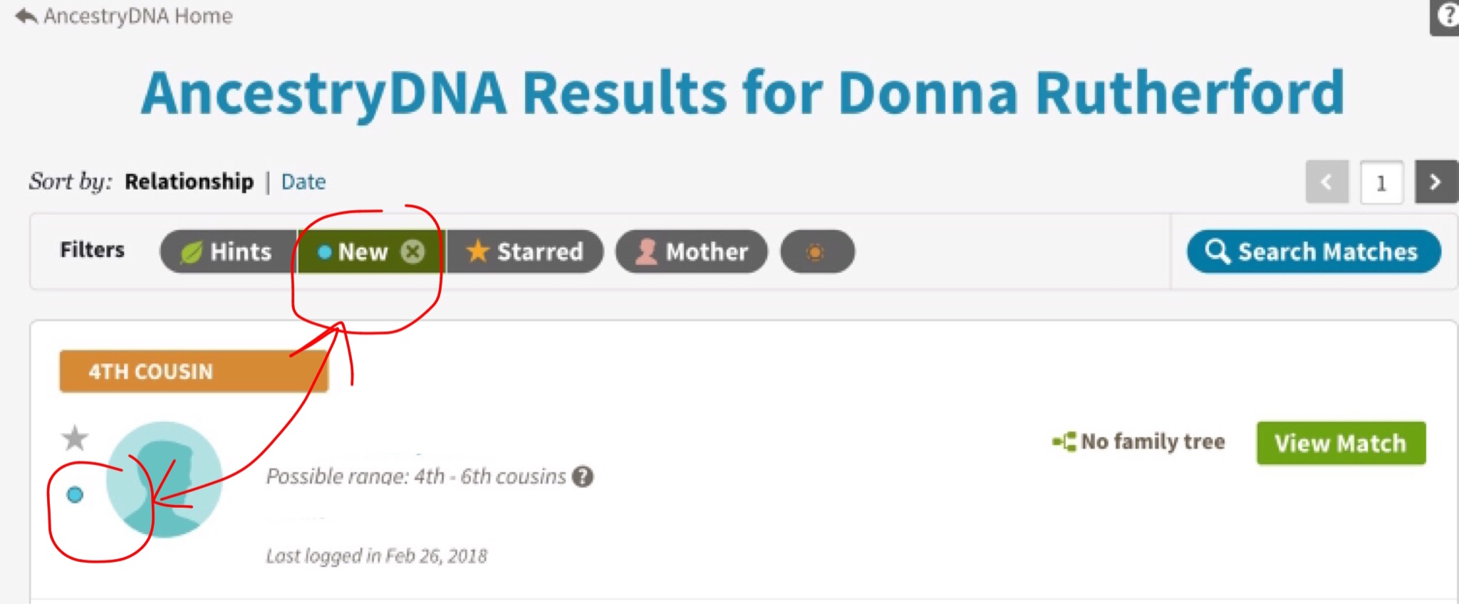 Ancestry Dna Spreadsheet inside Searching, Sorting And Filtering Your Dna Matches – Donna Rutherford