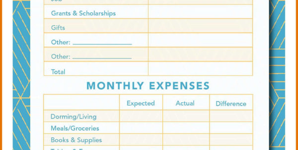 Assisted Living Budget Spreadsheet Spreadsheet Downloa assisted living