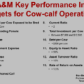Beef Cattle Budget Spreadsheet In Improving Ranch Efficiency Through Record Analysis  Panhandle