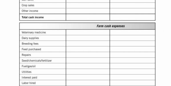 Beef Cattle Budget Spreadsheet Google Spreadshee beef cattle budget ...