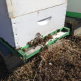 Beekeeping Spreadsheet Intended For Beekeeping Record Keeping  Russell Honey