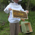 Beekeeping Spreadsheet Throughout Kurtz Acres Visitors  Kurtz Acres
