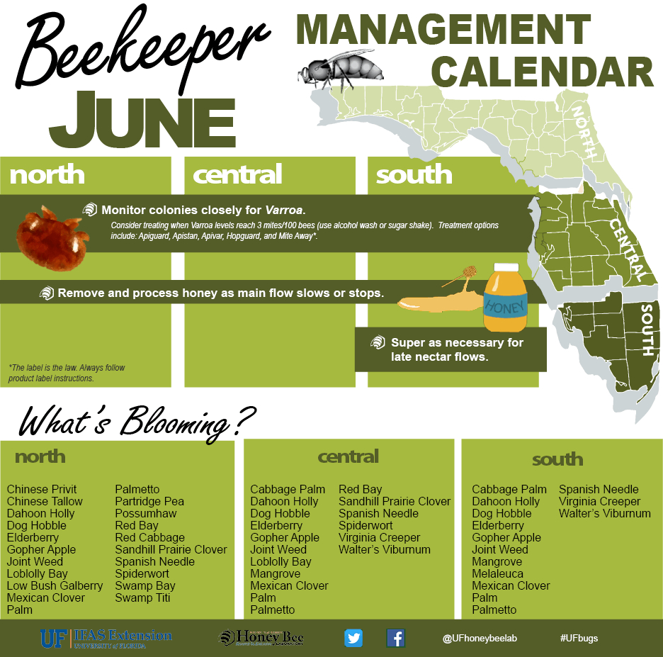 Beekeeping Spreadsheet Within Beekeepers Association Of Southwest Florida  Home Page