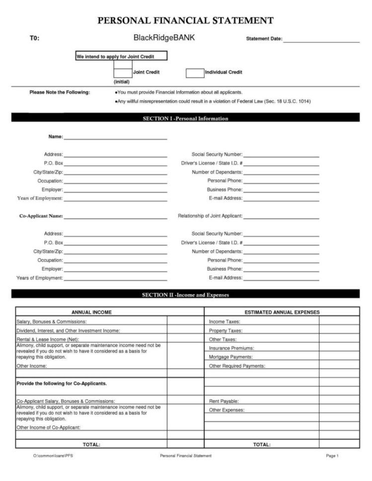 Bespoke Excel Spreadsheet Within Individual Financial Statement Template And Personal Financial