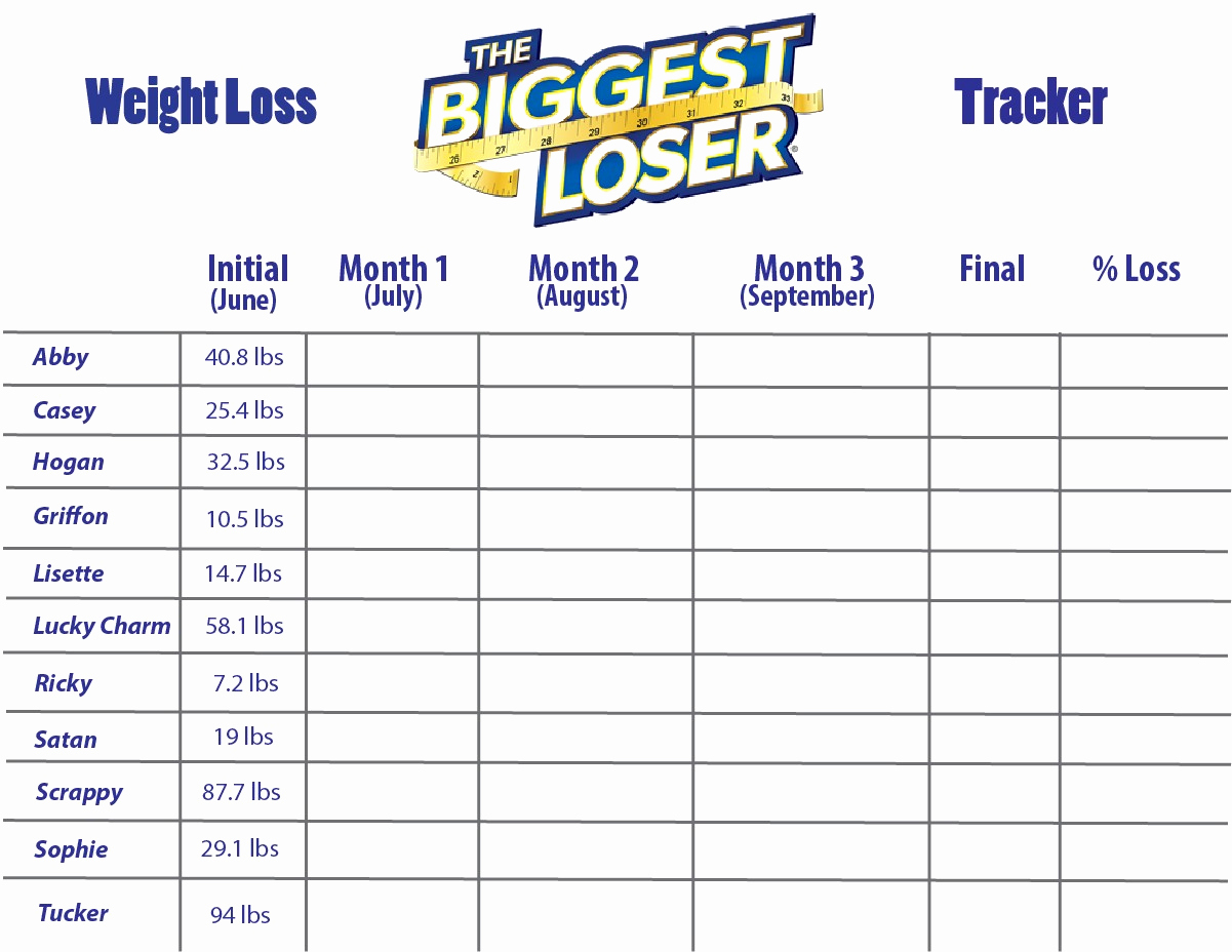 Biggest Loser Excel Spreadsheet —