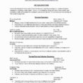 Bookkeeping Spreadsheet For Musicians Intended For 20 Amazing Pics Of Resume Template For Musicians