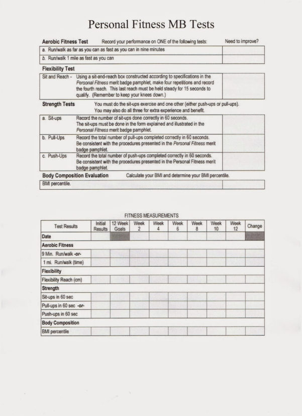 boy-scout-merit-badge-tracking-spreadsheet-pertaining-to-boy-scout