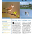 British Bird List Spreadsheet In Birdtrack News Issue 1 Summer 2012British Trust For