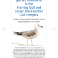 British Bird List Spreadsheet Intended For Pdf Species Boundaries In The Herring And Lesser Blackbacked Gull