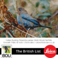 British Bird List Spreadsheet Pertaining To Changes To The British List 21 Dec 2018  British Ornithologists