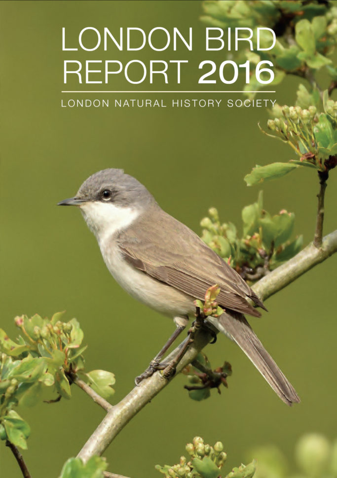 British Bird List Spreadsheet With London Natural History Society  Home