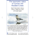 British Bird List Spreadsheet With Regard To Pdf The Taxonomic Status Of Carrion And Hooded Crows