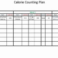 Calorie Counter Excel Spreadsheet Free Download Intended For Calorie Counting Spreadsheet On How To Make A Spreadsheet Excel