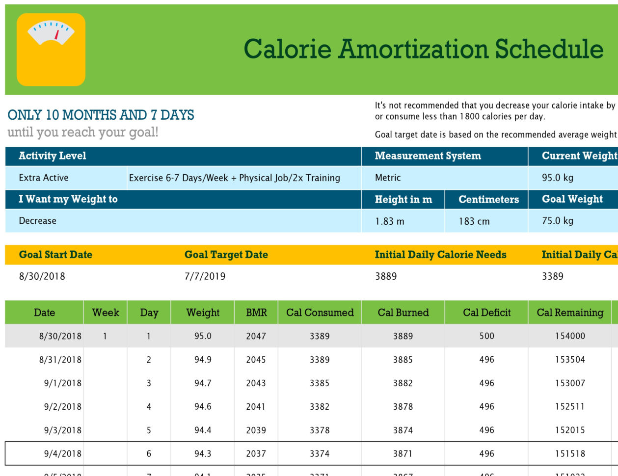 Calorie Intake Spreadsheet Throughout Calorie Amortization Schedule