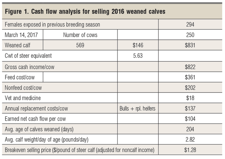 Cattle Budget Spreadsheet inside Example Of Cattle Budget Spreadsheet