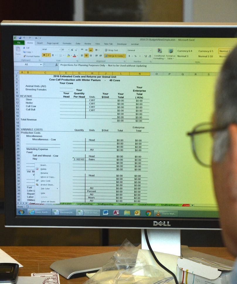 Cattle Budget Spreadsheet Within Agrilife Extension Crop And Livestock Budget Spreadsheets Now