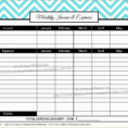Cattle Expense Spreadsheet With Regard To Beef Cattle Budget Spreadsheet Resume Layout Template Beautiful