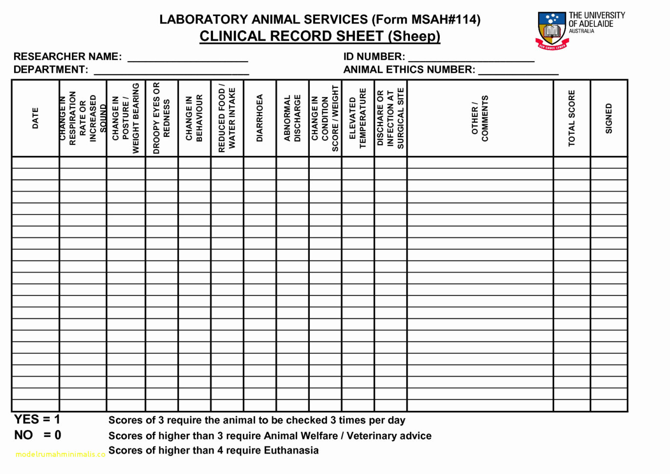 Cattle Herd Management Spreadsheet — db-excel.com