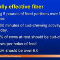 Cattle Ration Spreadsheet Throughout Take Home Message #2 Shredlage  Forage Form  Ppt Video Online Download