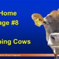 Cattle Ration Spreadsheet With Take Home Message #2 Shredlage  Forage Form  Ppt Video Online Download