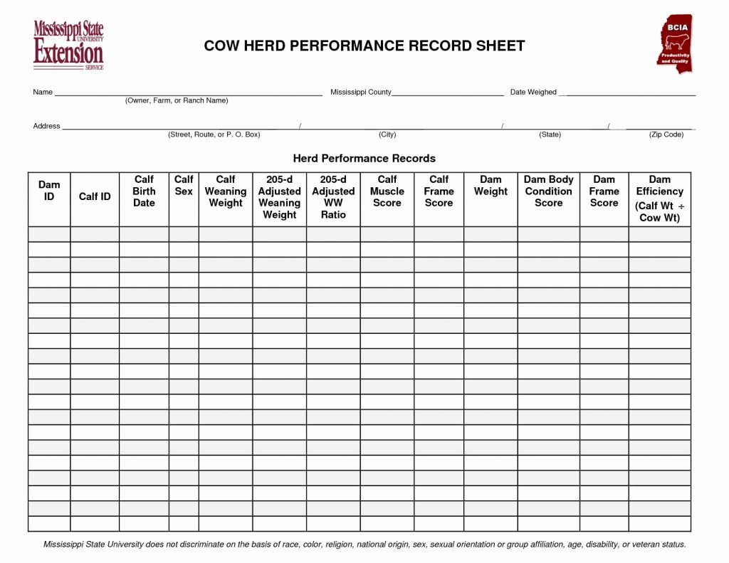 Cattle Spreadsheet for Cattle Inventory Spreadsheet Cow Calf Template