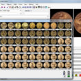 Coin Collecting Inventory Spreadsheet Intended For Coin Collecting Software  Ezcoin From Softpro