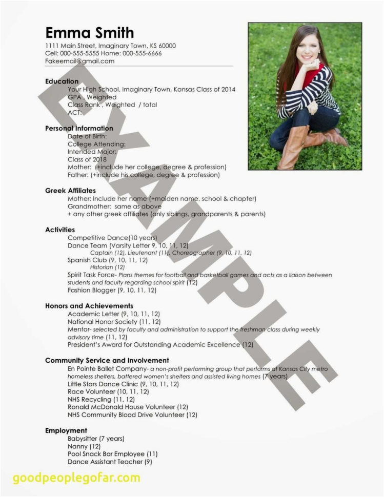 Community Service Spreadsheet With Community Service Letter Best Of 16 New Munity Service Resume – My