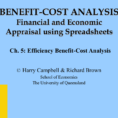 Cost Benefit Analysis Financial And Economic Appraisal Using Spreadsheets With Regard To Efficiency Benefitcost Analysis