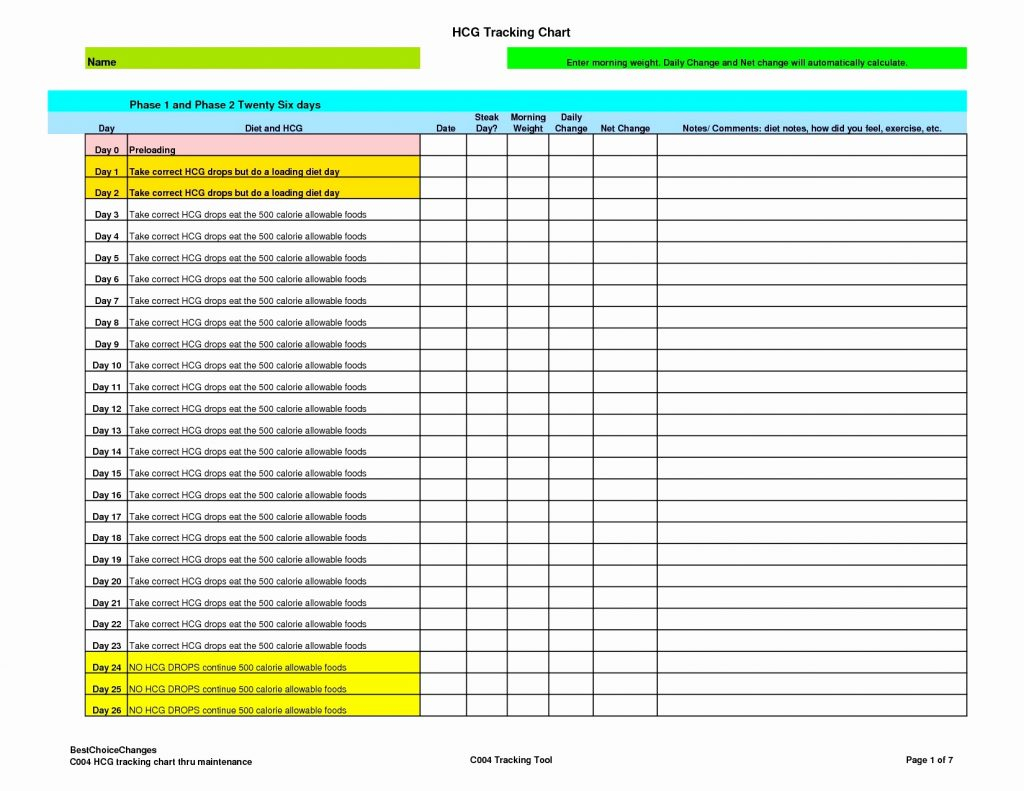 calorie tracker spreadsheet