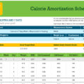 Daily Calories & Food Nutrition Excel Spreadsheet Calculator Inside Calorie Amortization Schedule