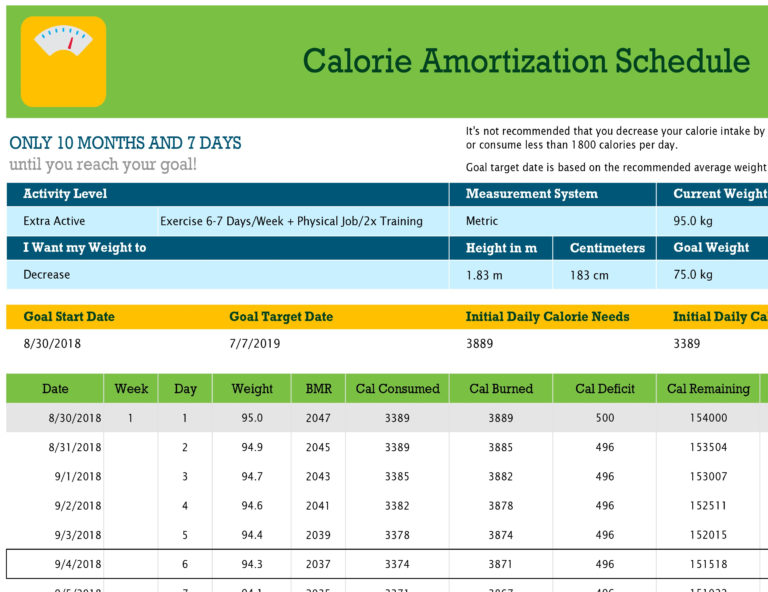 Daily Calories & Food Nutrition Excel Spreadsheet ...