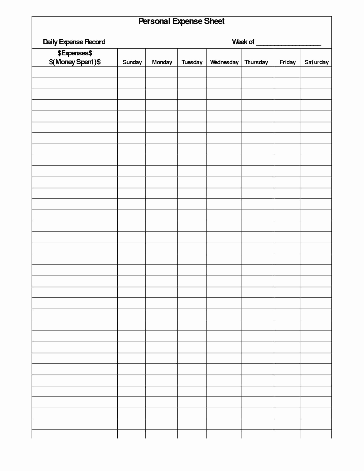 worksheets to track daily expenses