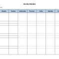 Daily Medication Schedule Spreadsheet Intended For Weekly Schedule Organizer  Rent.interpretomics.co